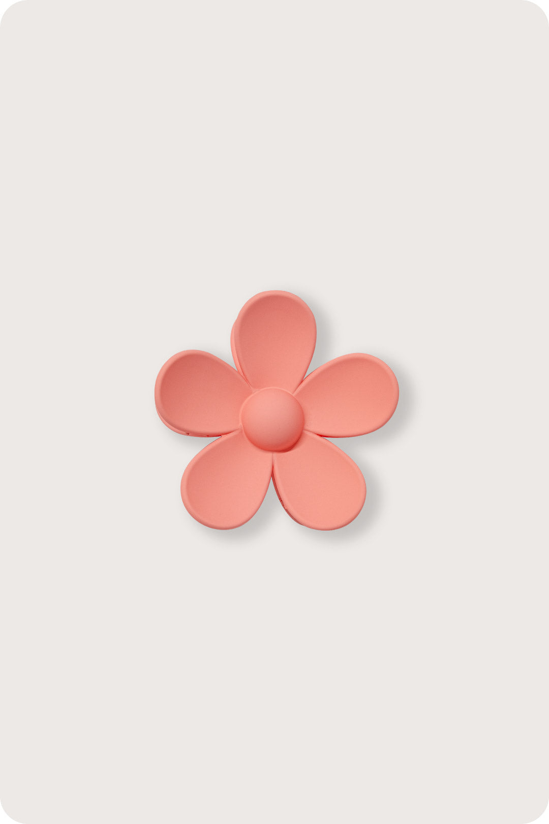 Matte Daisy - Coral