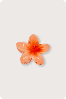 Hawaiian Flower - Nectarine