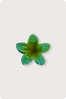 Hawaiian Flower - Turquoise